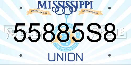 55885S8 Mississippi License Plate