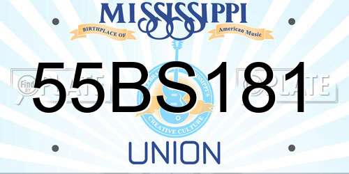 55BS181 Mississippi License Plate