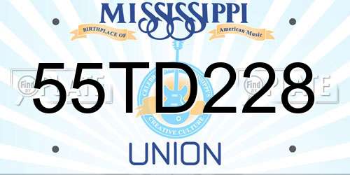 55TD228 Mississippi License Plate