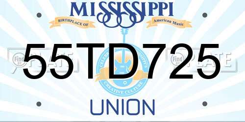 55TD725 Mississippi License Plate