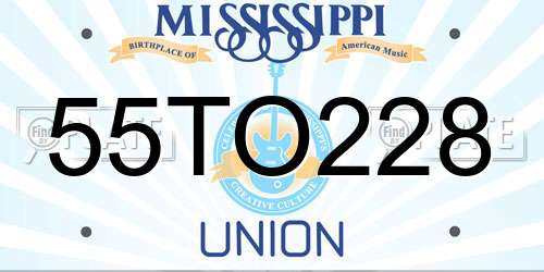 55TO228 Mississippi License Plate