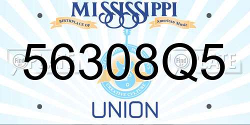 56308Q5 Mississippi License Plate