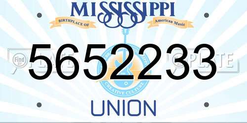 5652233 Mississippi License Plate