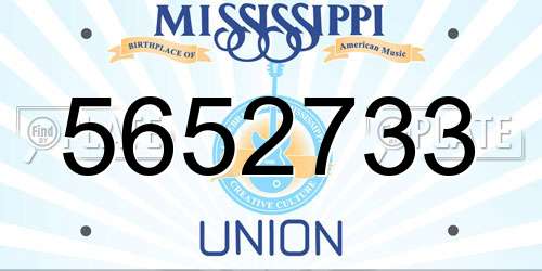 5652733 Mississippi License Plate