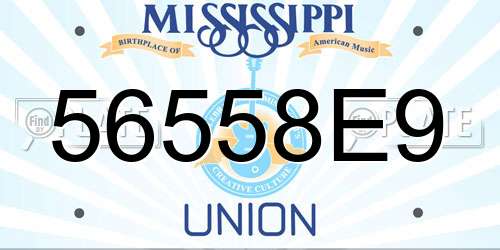 56558E9 Mississippi License Plate