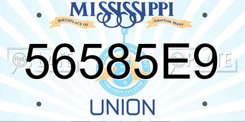 56585E9 Mississippi License Plate