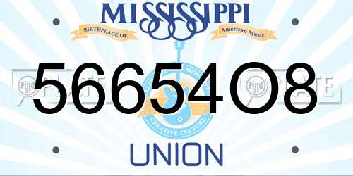 56654O8 Mississippi License Plate