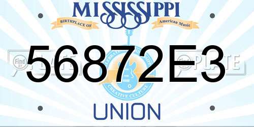 56872E3 Mississippi License Plate