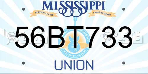56BT733 Mississippi License Plate