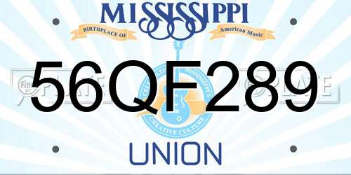 56QF289 Mississippi License Plate
