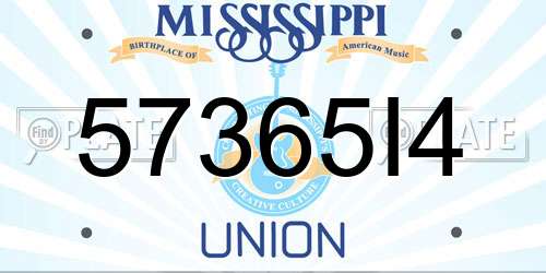 57365I4 Mississippi License Plate