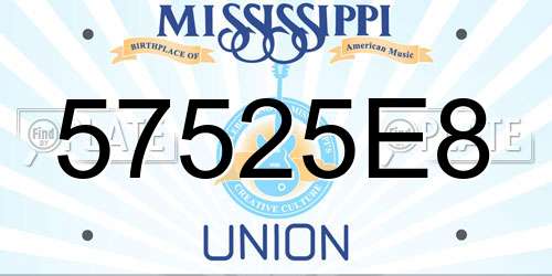 57525E8 Mississippi License Plate