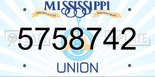 5758742 Mississippi License Plate