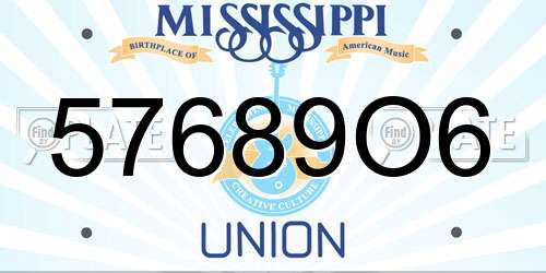 57689O6 Mississippi License Plate