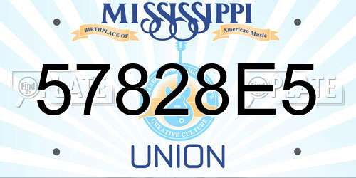 57828E5 Mississippi License Plate