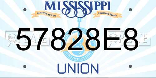 57828E8 Mississippi License Plate