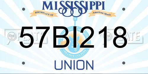 57BI218 Mississippi License Plate