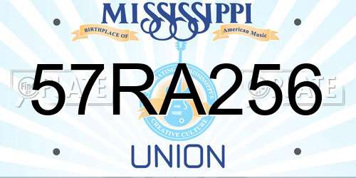 57RA256 Mississippi License Plate