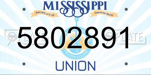 5802891 Mississippi License Plate