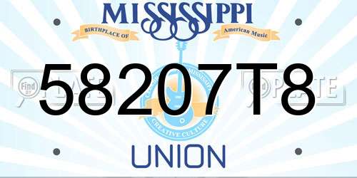 58207T8 Mississippi License Plate