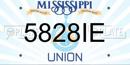 5828IE Mississippi License Plate