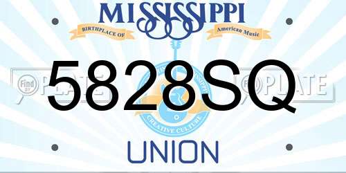 5828SQ Mississippi License Plate