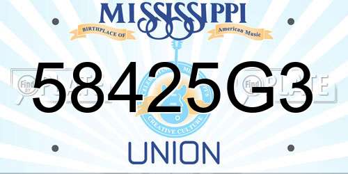 58425G3 Mississippi License Plate