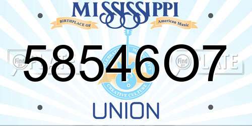 58546O7 Mississippi License Plate