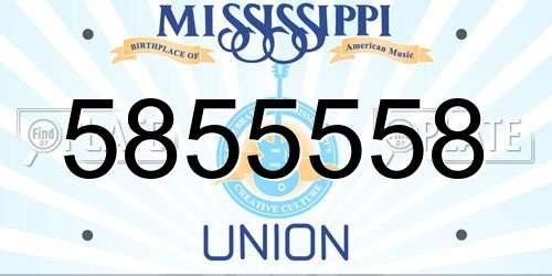 5855558 Mississippi License Plate