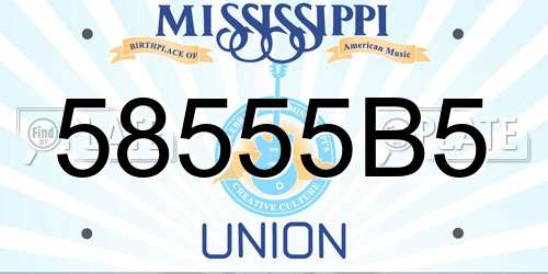 58555B5 Mississippi License Plate