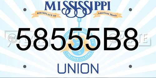 58555B8 Mississippi License Plate
