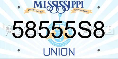 58555S8 Mississippi License Plate