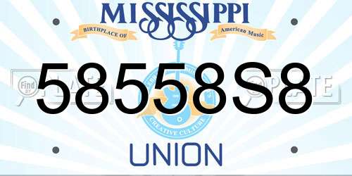58558S8 Mississippi License Plate