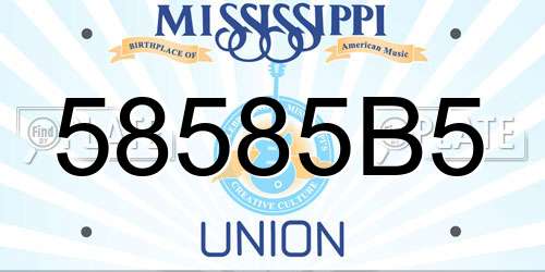 58585B5 Mississippi License Plate