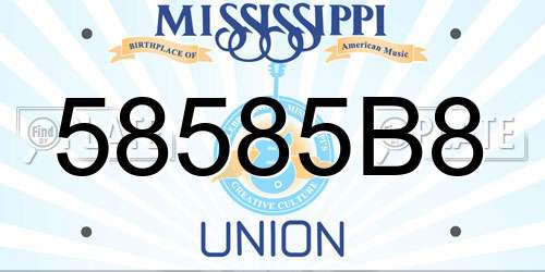 58585B8 Mississippi License Plate