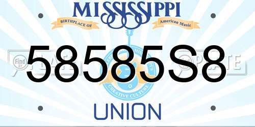 58585S8 Mississippi License Plate