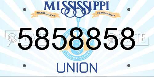 5858858 Mississippi License Plate