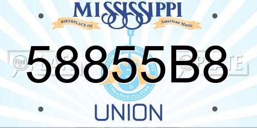 58855B8 Mississippi License Plate