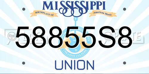 58855S8 Mississippi License Plate