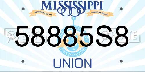 58885S8 Mississippi License Plate
