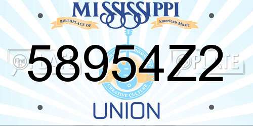 58954Z2 Mississippi License Plate