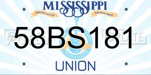58BS181 Mississippi License Plate