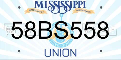 58BS558 Mississippi License Plate