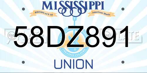 58DZ891 Mississippi License Plate