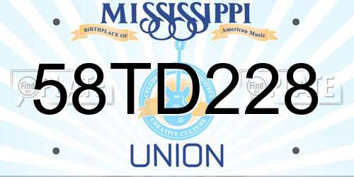 58TD228 Mississippi License Plate