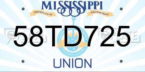58TD725 Mississippi License Plate