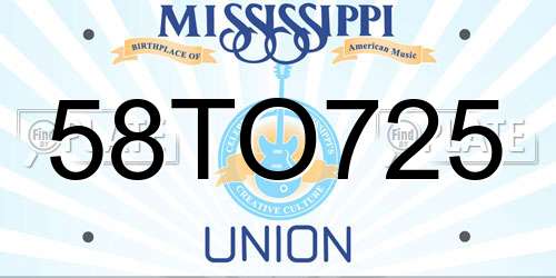 58TO725 Mississippi License Plate