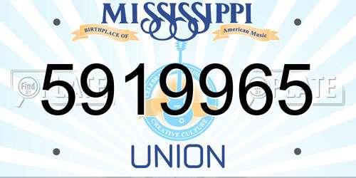 5919965 Mississippi License Plate