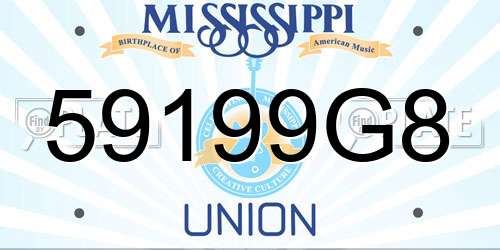 59199G8 Mississippi License Plate