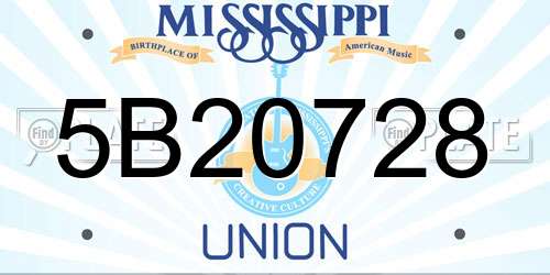 5B20728 Mississippi License Plate